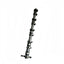 Engine camshaft