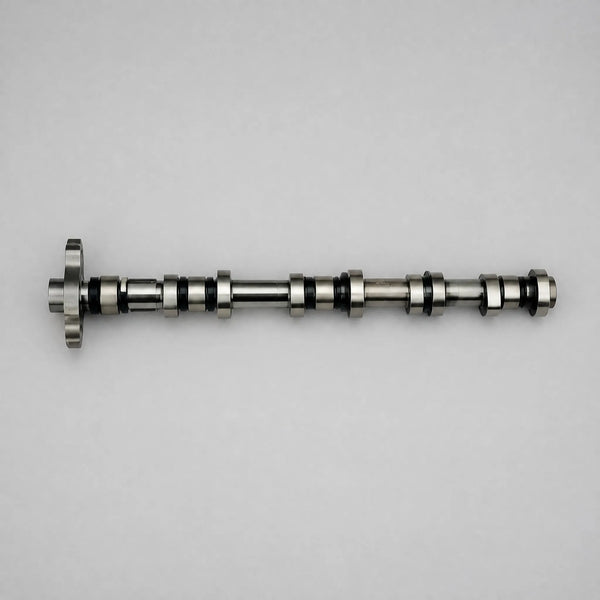 Engine camshaft flat-lay view