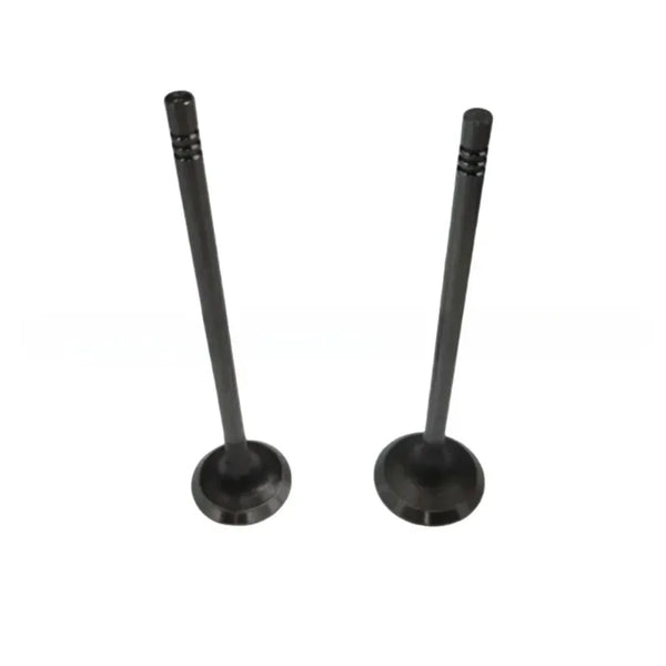 0948E8 0949E2 Engine intake/exhaust valve For Peugeot 5008 3008 308 408 508 for Citroen C4 C5 DS3 5 1.6T 9806247480 9806247280